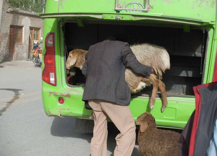 Приколы в общественном транспорте