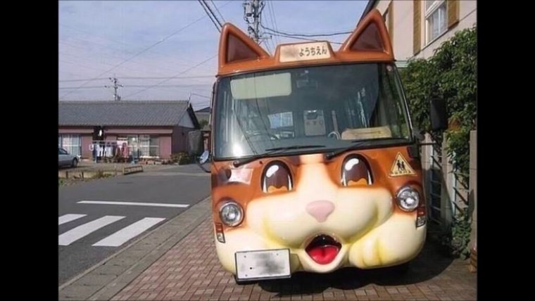 Веселые школьные автобусы