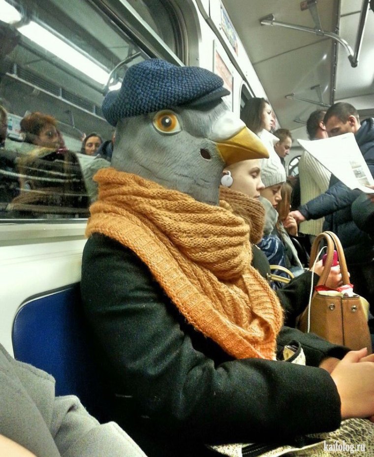 Смешные люди в автобусе