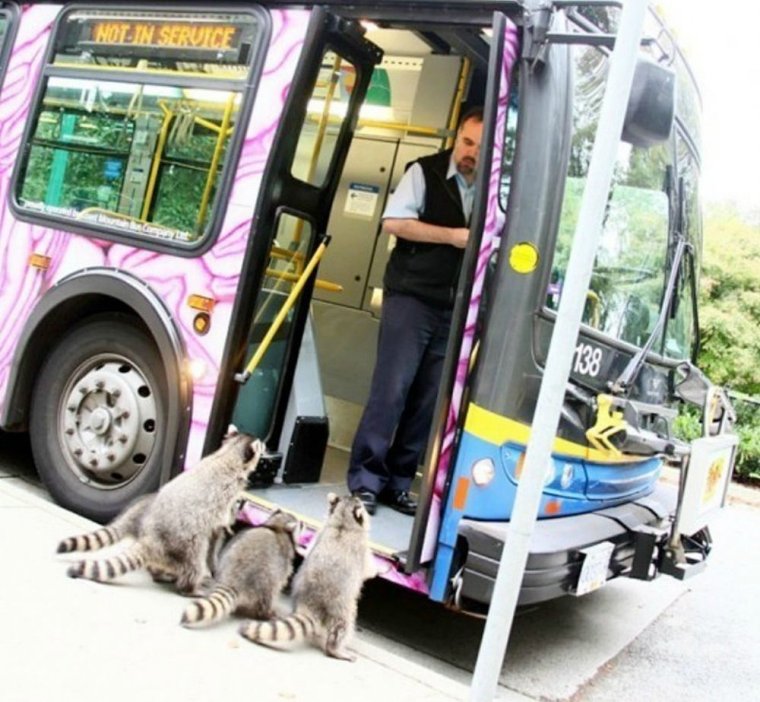 Приколы в общественном транспорте