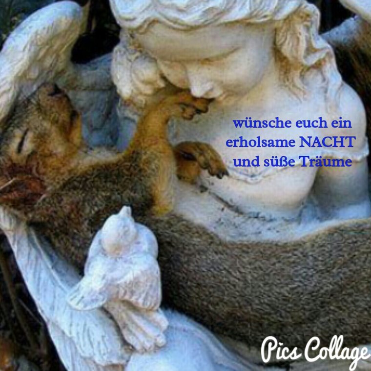 Ангел животные природа