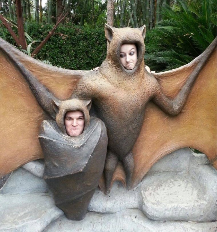 Смешная летучая мышь