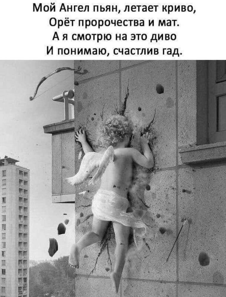 Смешные фразы про ангелов