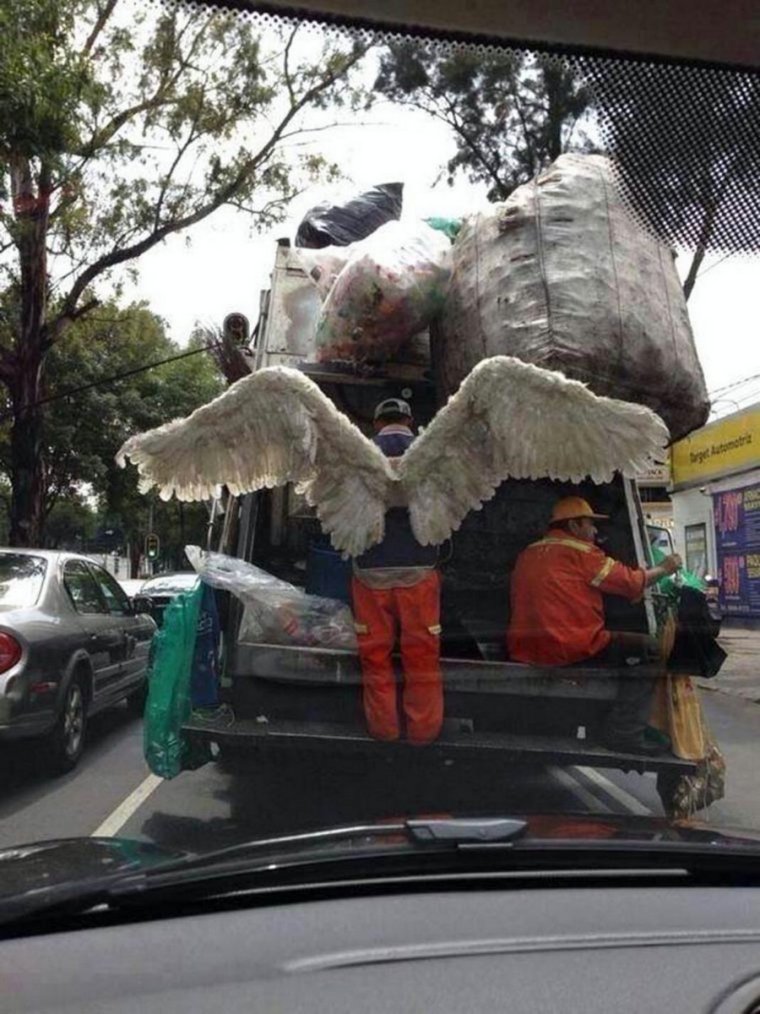 Крылья прикол