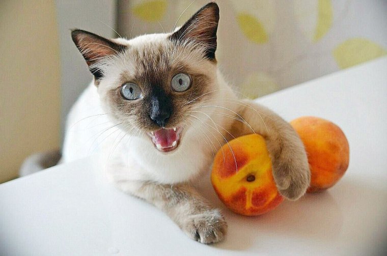 Бесячий апельсин Эй яблоко