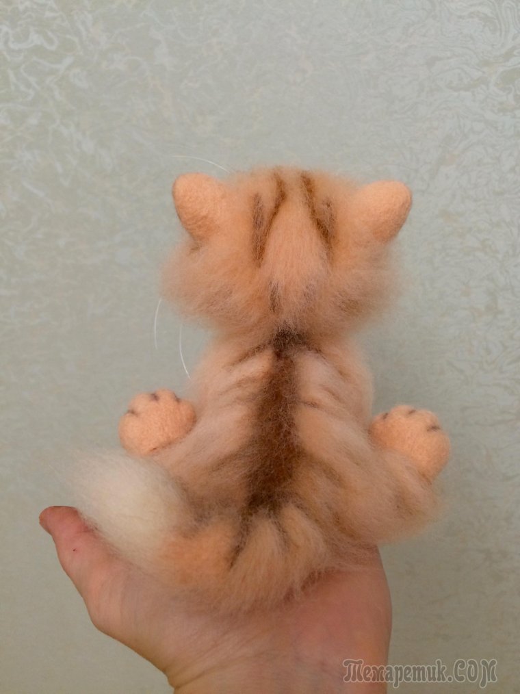 Смешной абрикос