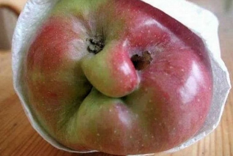 Фрукт похожий на попу