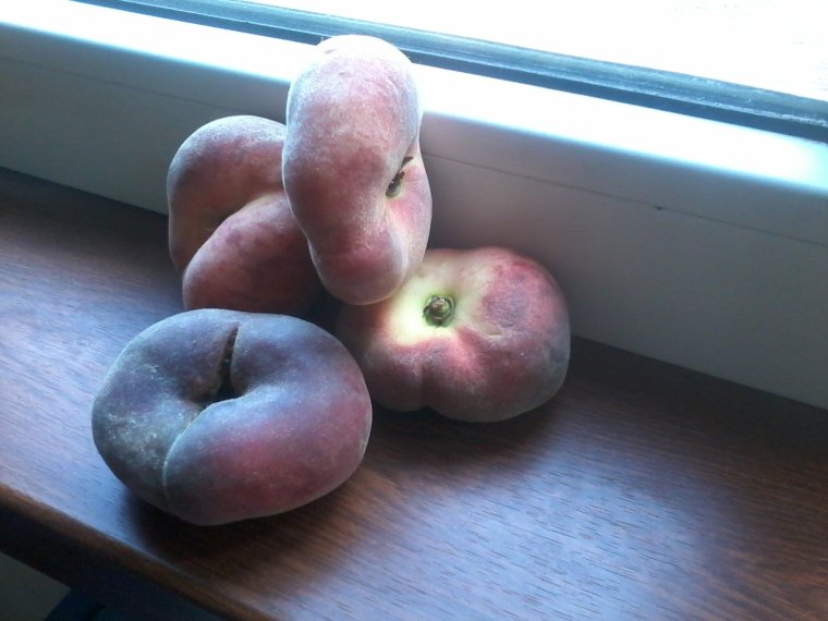 Бритый персик