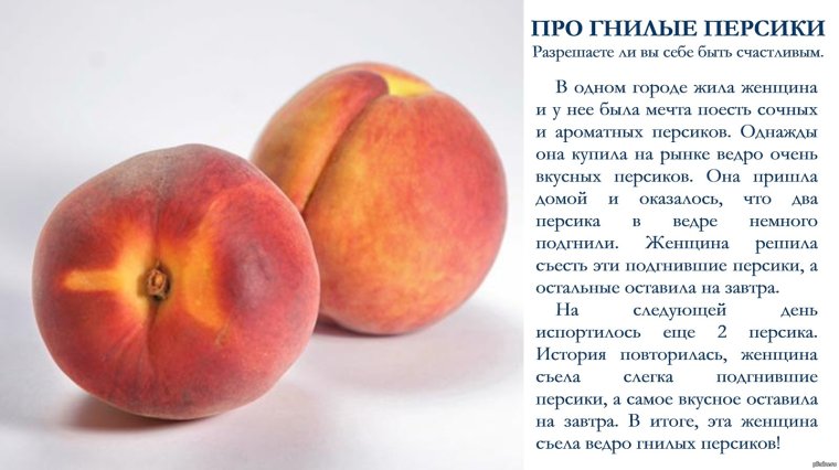 Персиковая кошка с персиками