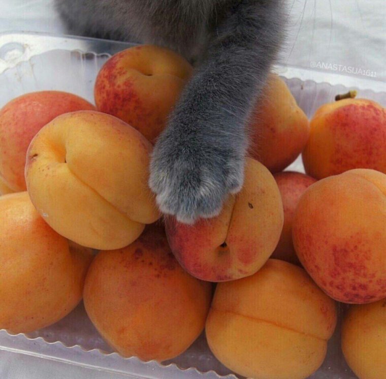 Девочка с крыжовником