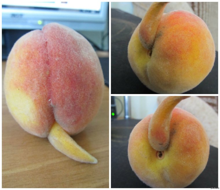 Персик прикол