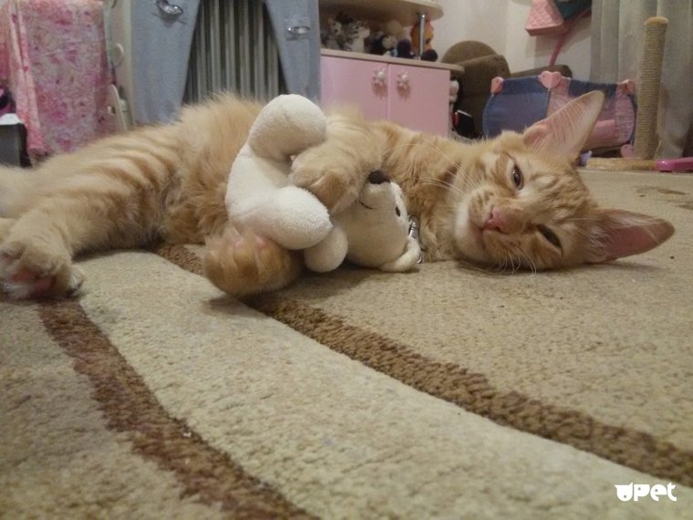 Крутой персик прикол