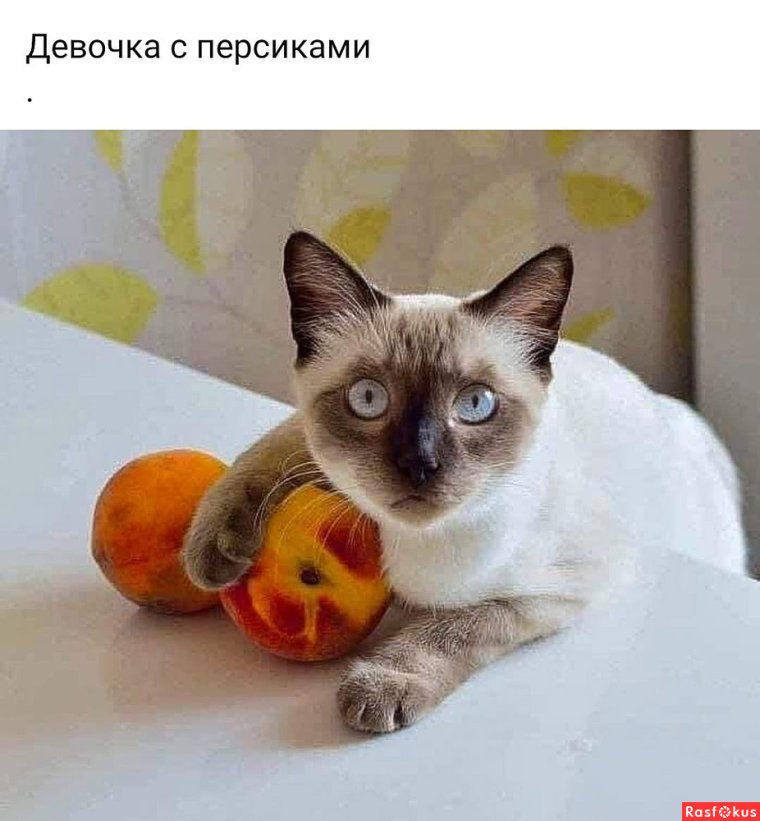 Доброе утро персик картинки смешные