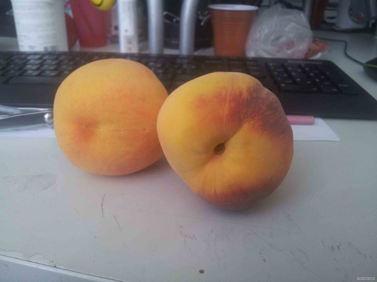 Персик с глазами