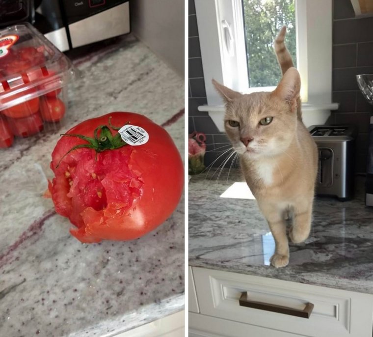 Персик с глазами