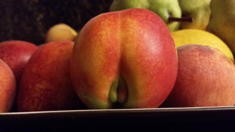 Коты персики