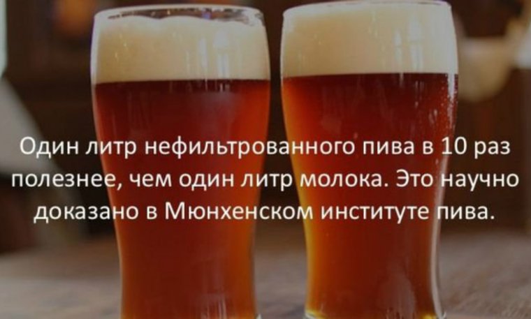 Интересные факты о пиве