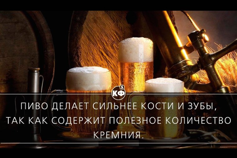 Цитаты про пиво