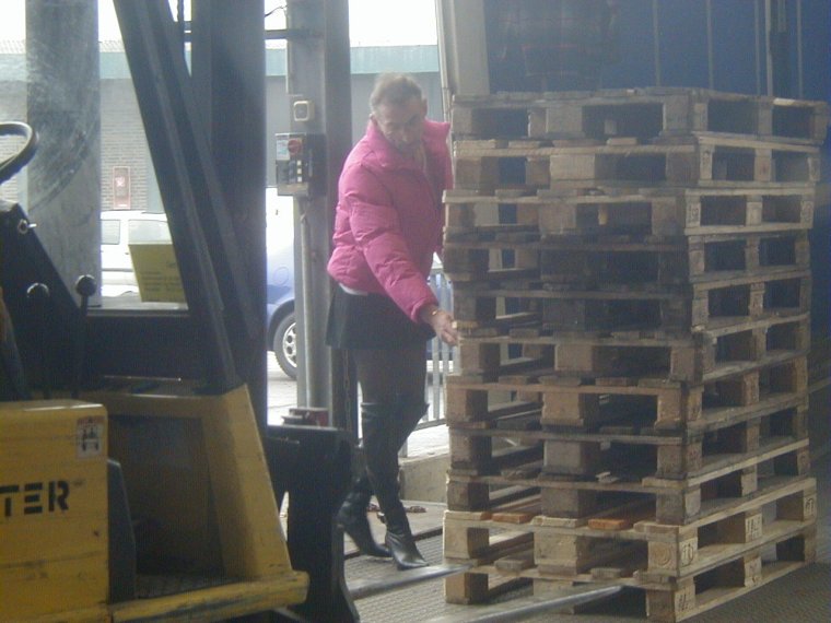 Грузчики карикатура