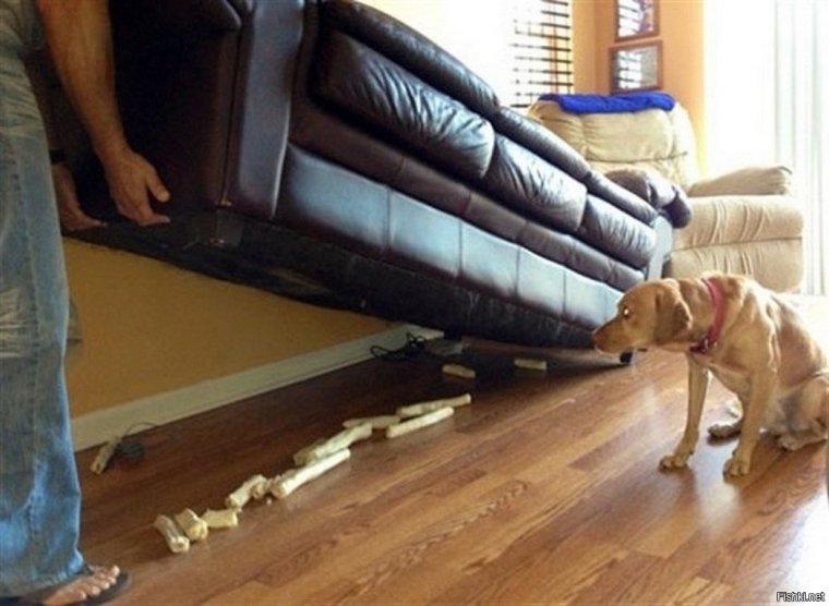 Креативные приколы