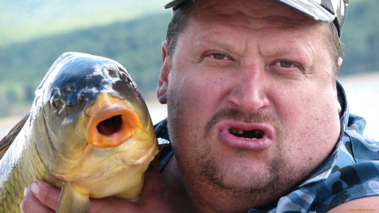 Рыба в шоке