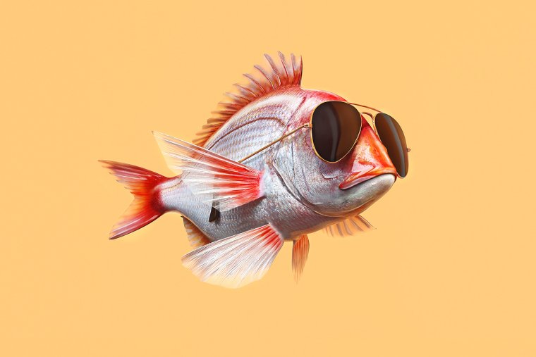 Крутая рыба