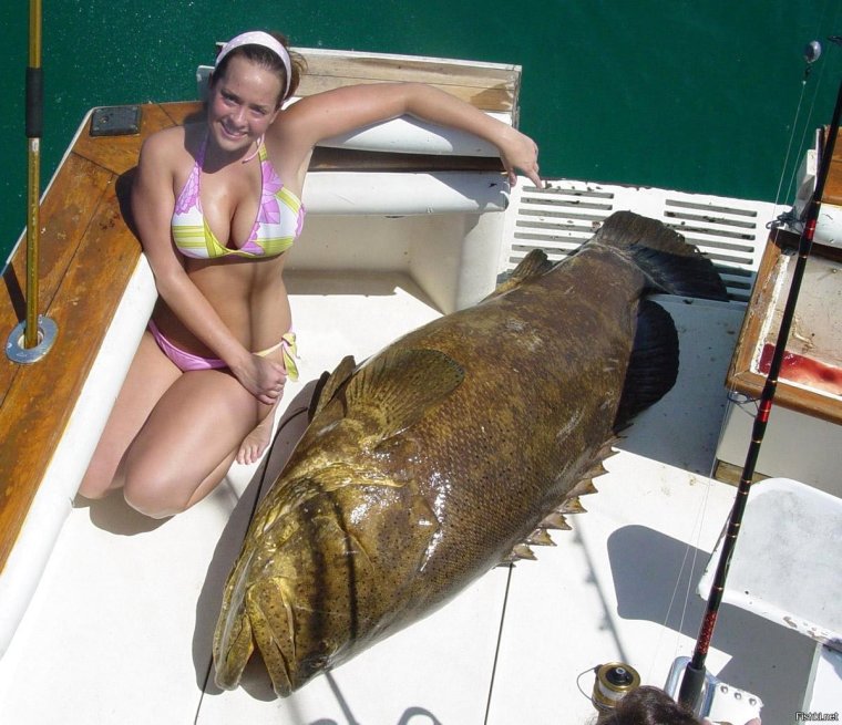 Большая рыба прикольные