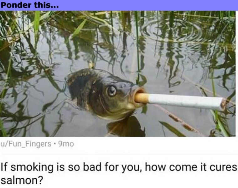 Курящая рыба