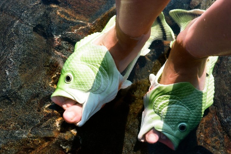 Смешной окунь