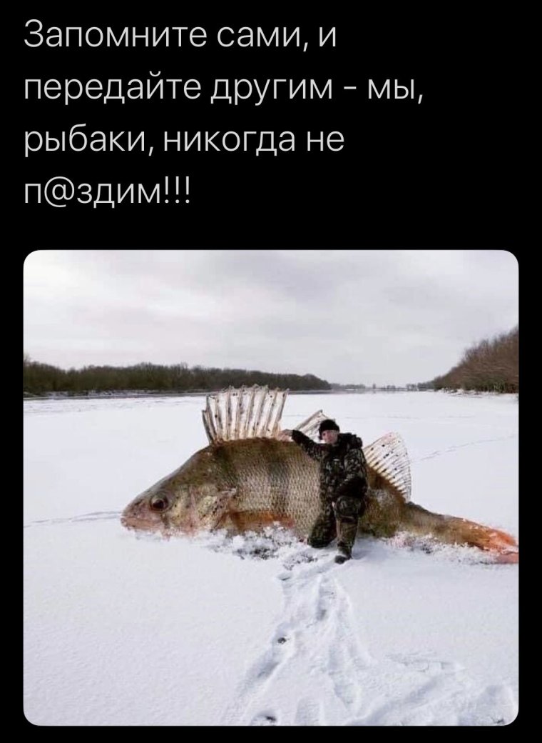 Рыбаки не врут