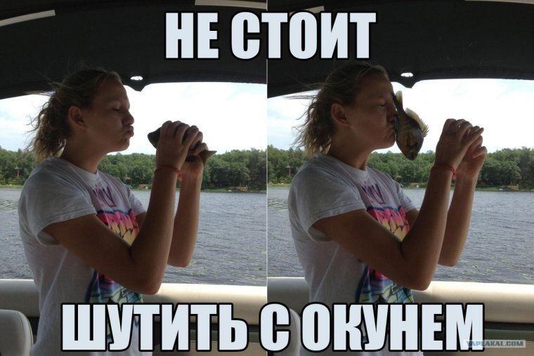 Мемы про окуня
