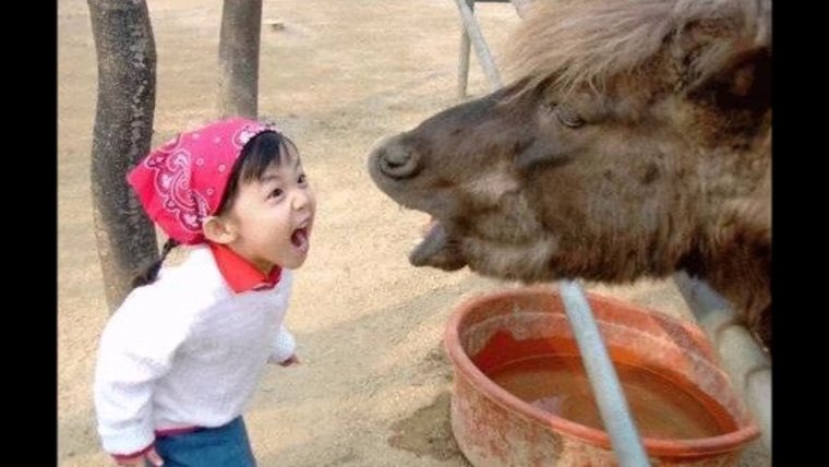 Казах и лошадь прикол