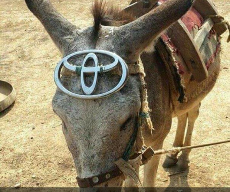 Расим прикол