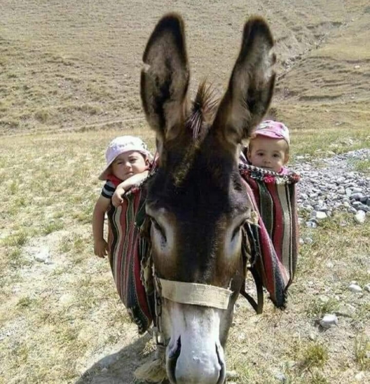 Смешные вывески с ошибками