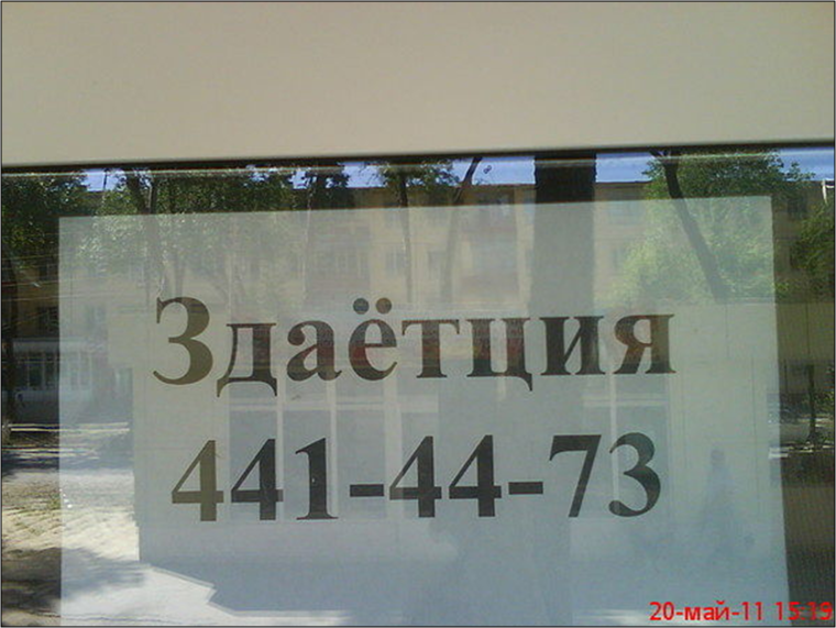 Мужчина на осле