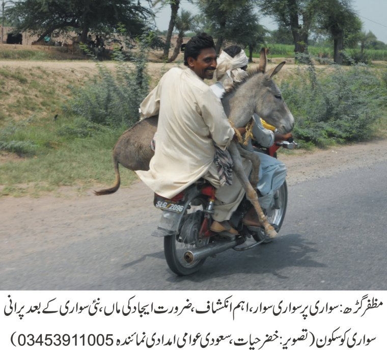 Таджик и ишак