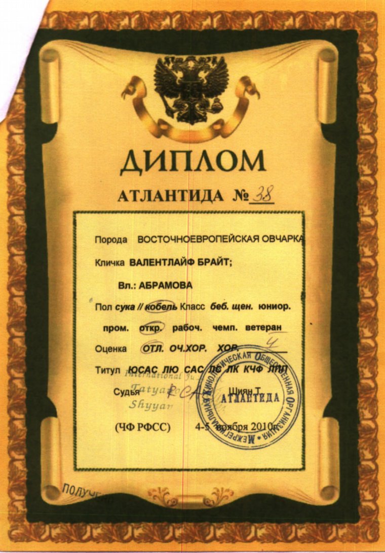 Диплом ЮСАС