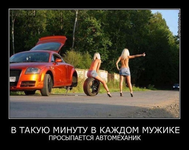 Девушки и авто демотиватор