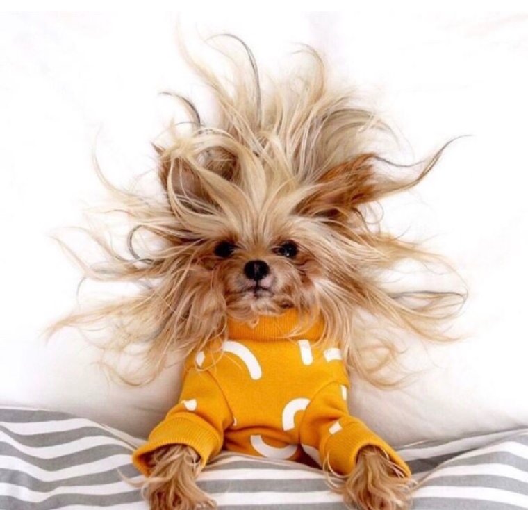 Кофе с печеньками