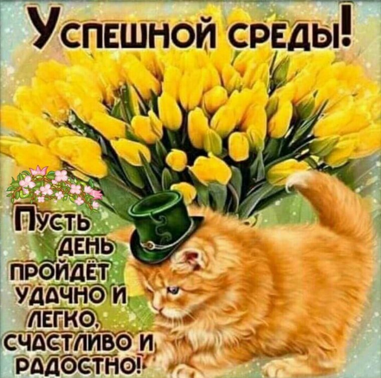 Кошачьи потягушки