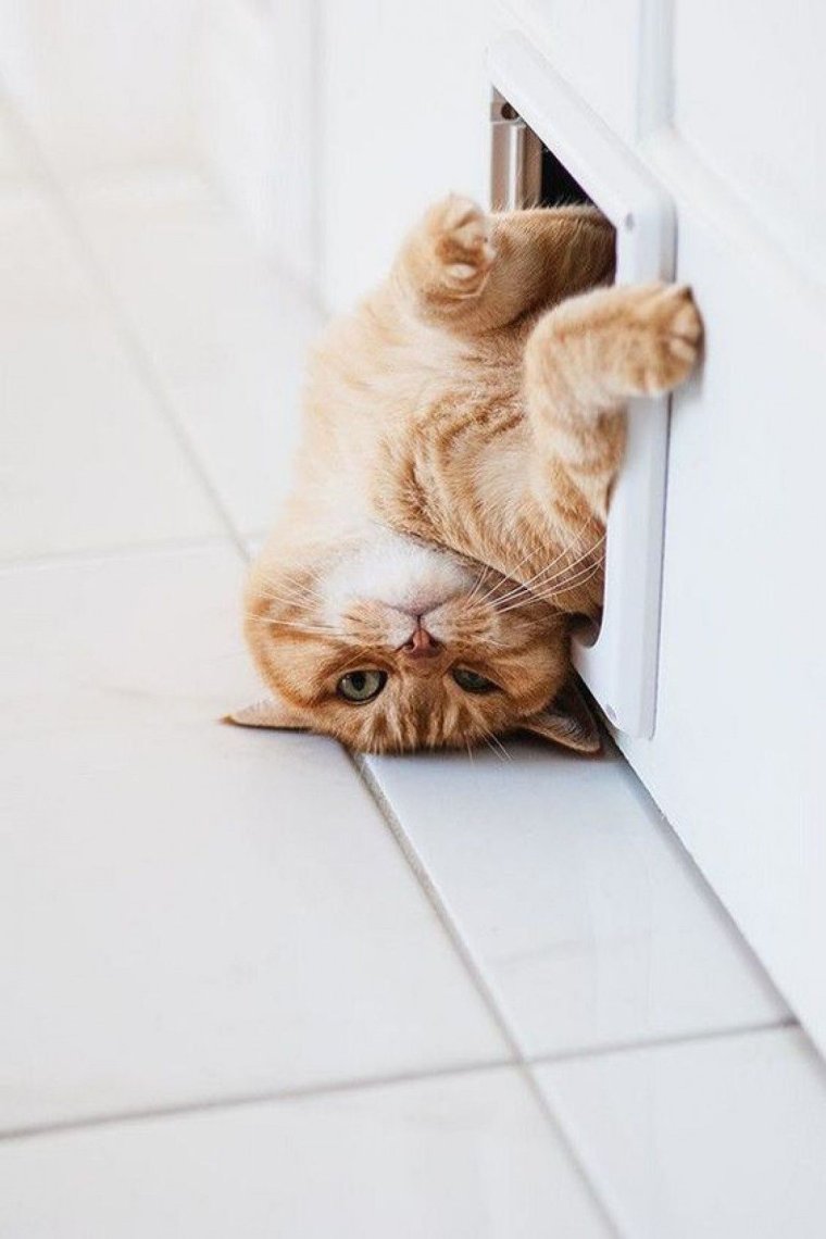 Доброе субботнее утро