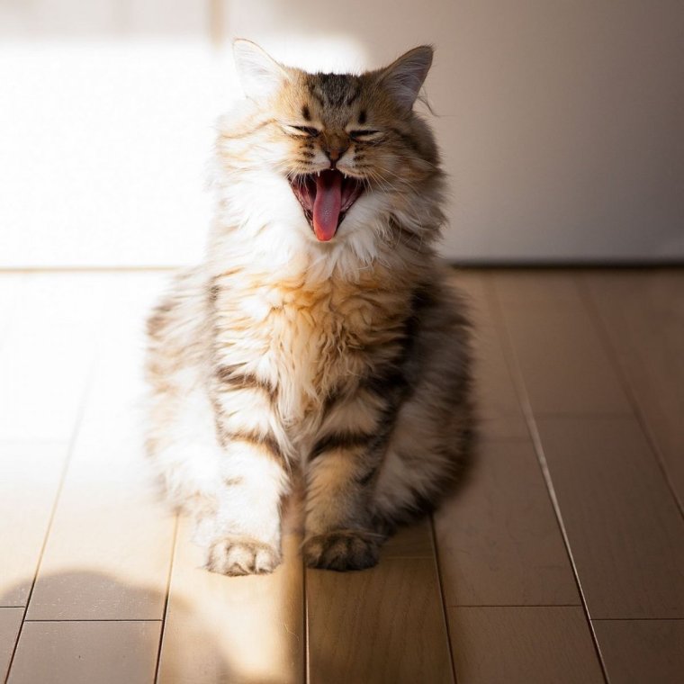 С добрым утром среды