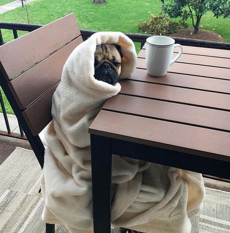 Поздравления с добрым утром