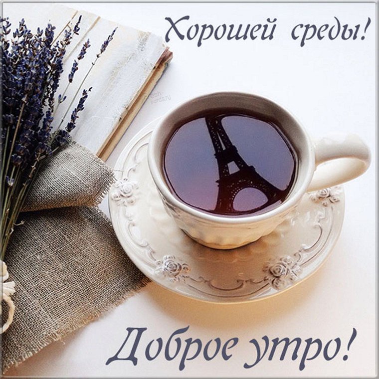 Милые котята с надписями