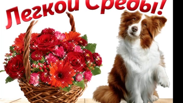 Поздравление со средой