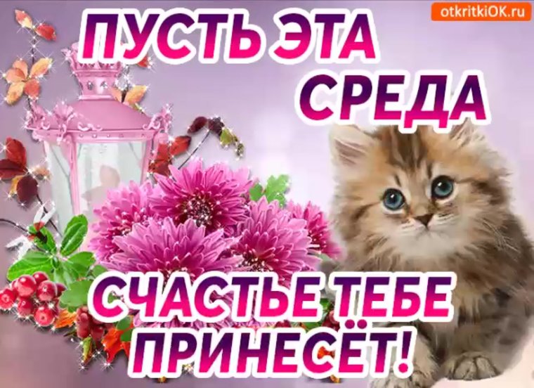 Thank you for your attention картинки