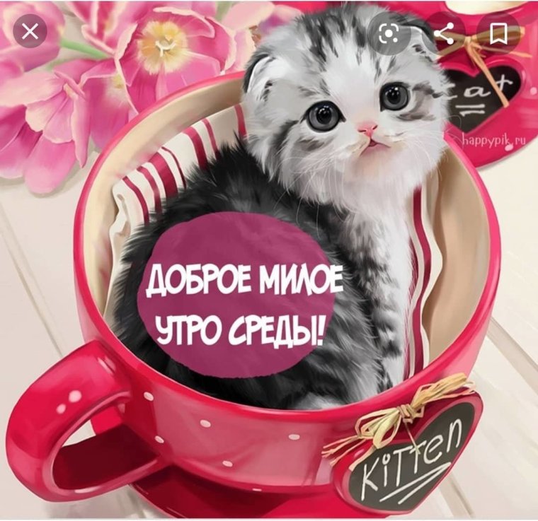 Доброе утро ср