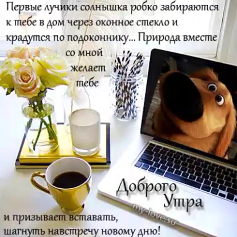 Доброе утро среда