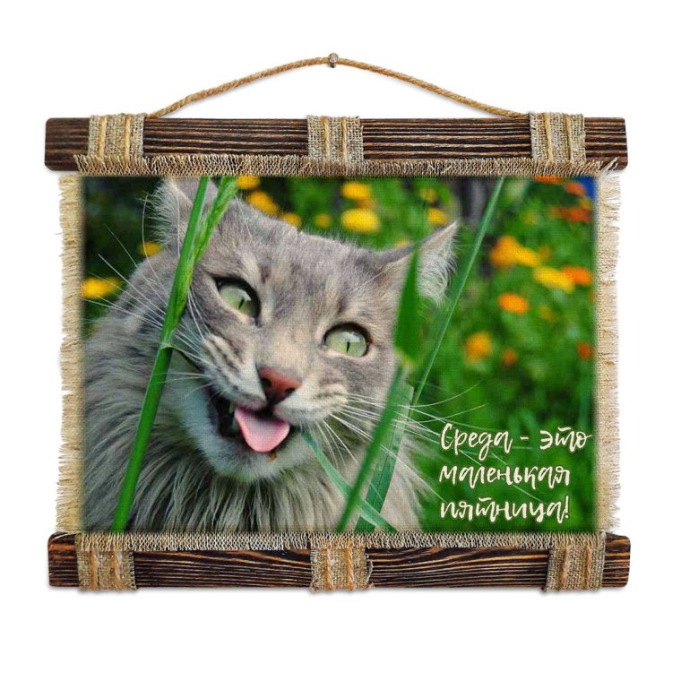 Уже среда доброе утро