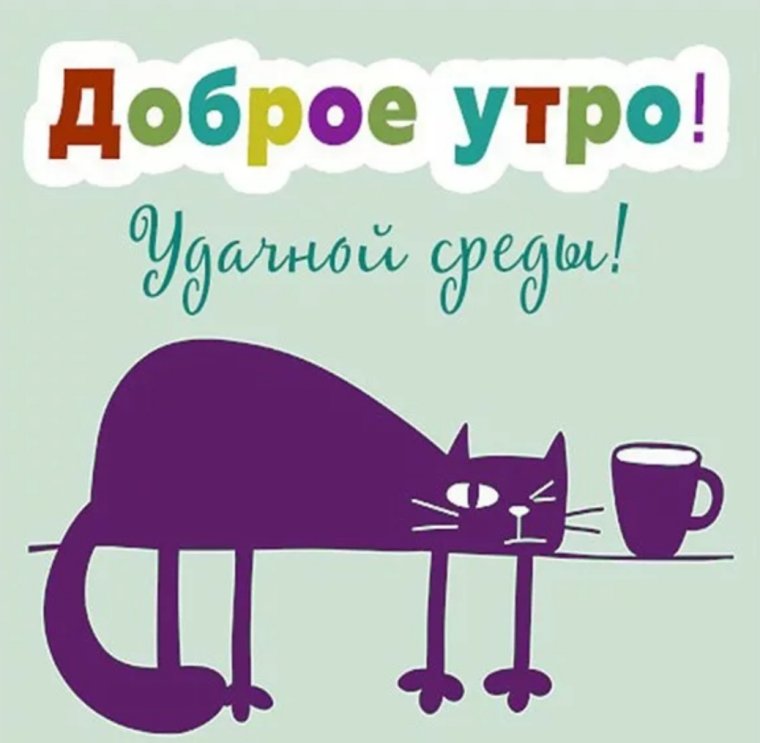 Пятничный котик